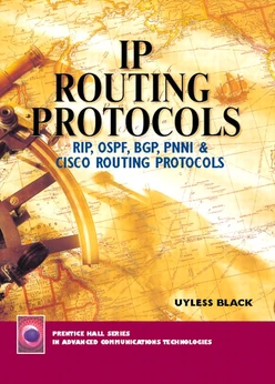 IP Routing Protocols