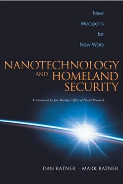 Nanotechnology and Homeland Security: New Weapons for New Wars