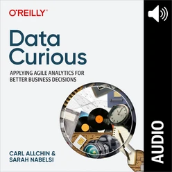 Data Curious (audiobook)