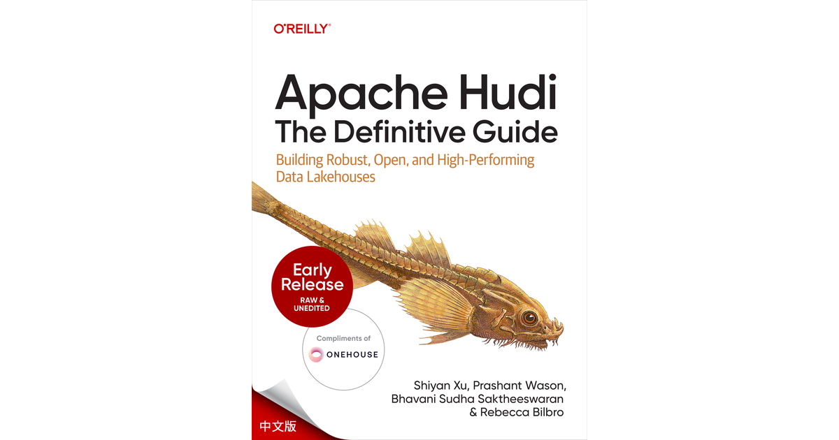 4.从 Hudi 读取数据 - Apache Hudi权威指南 [Book]