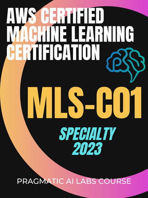 AWS Certified Machine Learning - Specialty (MLS-C01)-2023