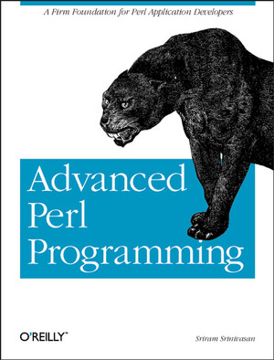 Mastering Perl [Book]