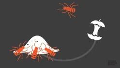 Brainswarming: Because Brainstorming Doesn't Work