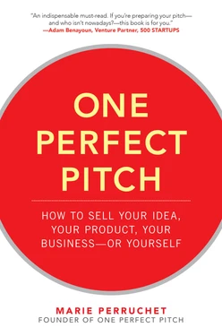 One Perfect Pitch: How to Sell Your Idea, Your Product, Your Business--or Yourself
