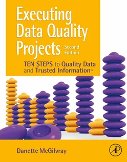 Executing Data Quality Projects, 2nd Edition