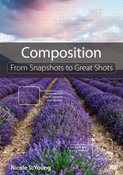 Composition: From Snapshots to Great Shots
