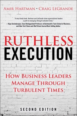 Ruthless Execution: How Business Leaders Manage Through Turbulent Times, Second Edition