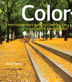 Color: A Photographer’s Guide to Directing the Eye, Creating Visual Depth, and Conveying Emotion