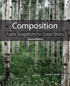 Composition: From Snapshots to Great Shots, Second Edition