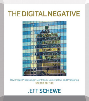 The Digital Negative: Raw Image Processing in Lightroom, Camera Raw, and Photoshop, Second Edition