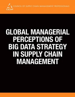 Global Managerial Perspectives of Big Data Strategy in Supply Chain Management