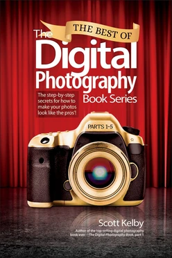 The Best of The Digital Photography Book Series: The step-by-step secrets for how to make your photos look like the pros’!