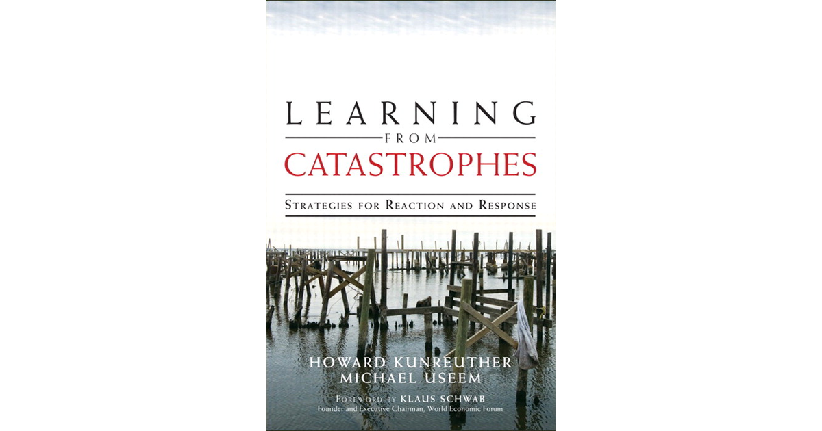 1. Principles and Challenges for Reducing Risks from Disasters ...