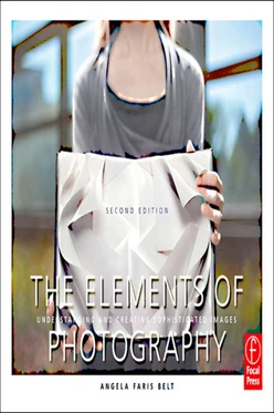 The Elements of Photography, 2nd Edition