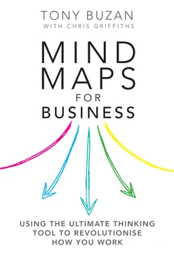 Mind Maps for Business, 2nd Edition