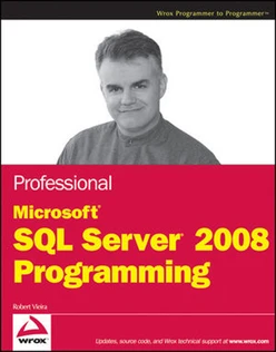 Professional Microsoft® SQL Server® 2008 Programming