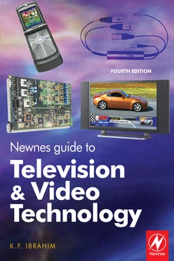Newnes Guide to Television and Video Technology, 4th Edition