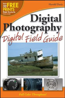Digital Photography Digital Field Guide
