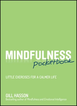 Mindfulness Pocketbook: Little Exercises for a Calmer Life