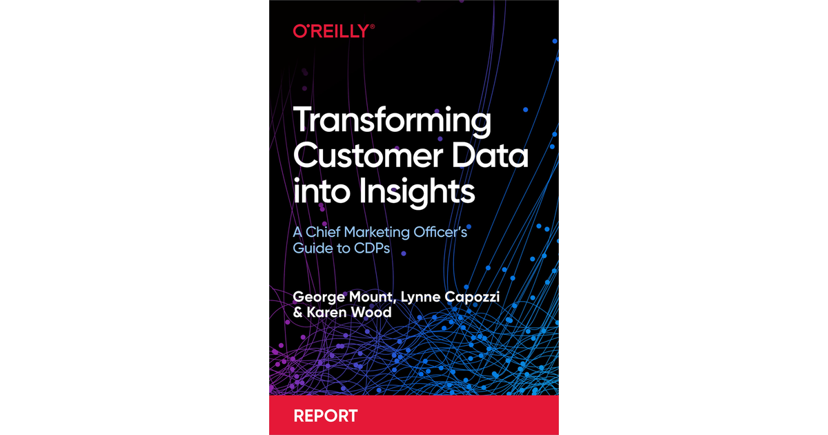 Transforming Customer Data into Insights [Book]