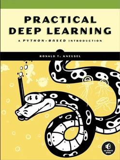 Practical Deep Learning