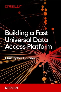 Building a Fast Universal Data Access Platform