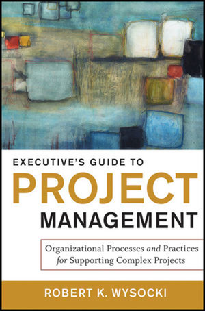 Executive's Guide to Project Management: Organizational Processes and Practices for Supporting Complex Projects