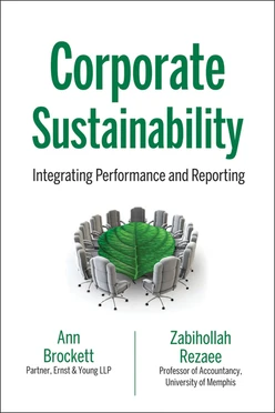 Corporate Sustainability: Integrating Performance and Reporting