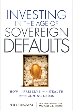 Investing in the Age of Sovereign Defaults: How to Preserve your Wealth in the Coming Crisis