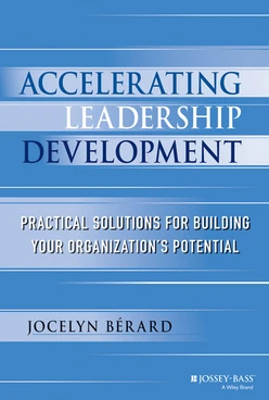 Accelerating Leadership Development: Practical Solutions for Building Your Organization's Potential