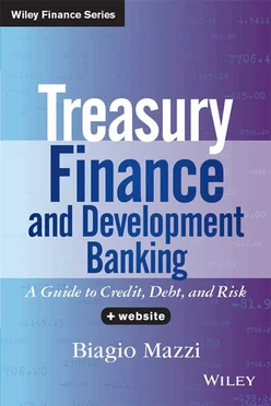 Treasury Finance and Development Banking: A Guide to Credit, Debt, and Risk, + Website