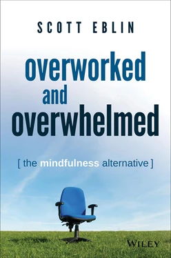 Overworked and Overwhelmed: The Mindfulness Alternative