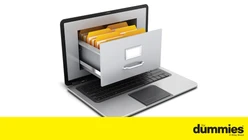 Access 2016 For Dummies Course