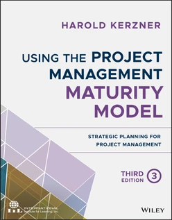Using the Project Management Maturity Model, 3rd Edition