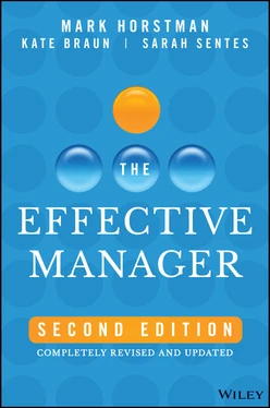 The Effective Manager, 2nd Edition