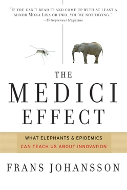 Medici Effect: What You Can Learn from Elephants and Epidemics