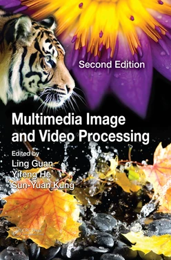 Multimedia Image and Video Processing, 2nd Edition