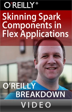 Skinning Spark Components in Flex Applications