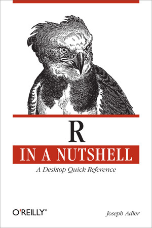 R in a Nutshell