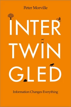 Intertwingled