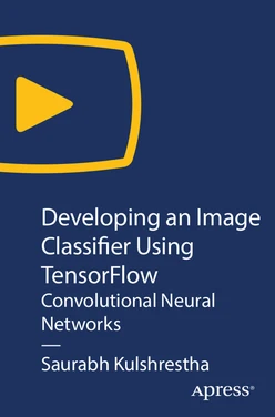 Developing an Image Classifier Using TensorFlow: Convolutional Neural Networks