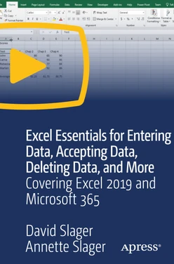 Excel Essentials for Entering Data, Accepting Data, Deleting Data, and More: Covering Excel 2019 and Microsoft 365