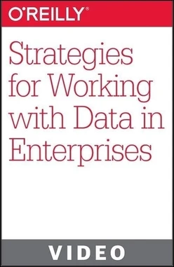 Strategies for Working with Data in Enterprises