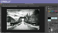 Turning Color Photographs Into Stunning Black and White