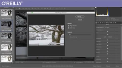 Adobe Camera Raw Workflow