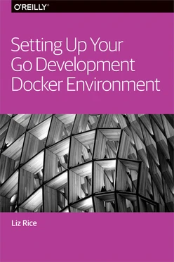 Setting up your Go development docker environment