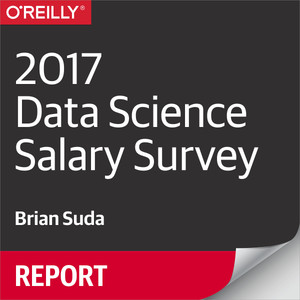 2017 Data Science Salary Survey