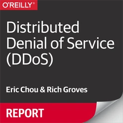 Distributed Denial of Service (DDoS)