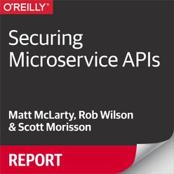 Securing Microservice APIs