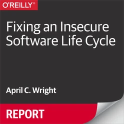 Fixing an Insecure Software Life Cycle
